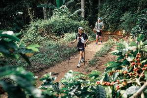 BIB: 
                            <button type="button" onclick="openModal(25856172)" class="btn btn-primary btn-sm float-right btn-popup" data-toggle="modal" data-target=".modal-high-quality">
                        <i class="fas fa-shopping-cart"></i> Add to Cart
                    </button>
                                            <button type="button" onclick="isThisMe(25856172, true)" class="btn btn-success btn-sm float-right btn-popup btn-isme hidden" data-toggle="tooltip" data-placement="bottom" title="นี่คือรูปของคุณใช่ไหม คลิกที่นี่เพื่อเอาเข้าอัลบั้ม">
                        <i class="fas fa-plus"></i> Add to album
                    </button>
                    <button type="button" onclick="isThisMe(25856172, false)" class="btn btn-warning btn-sm float-right btn-popup btn-isnotme hidden">
                        <i class="fas fa-ban"></i> Remove from album
                    </button>